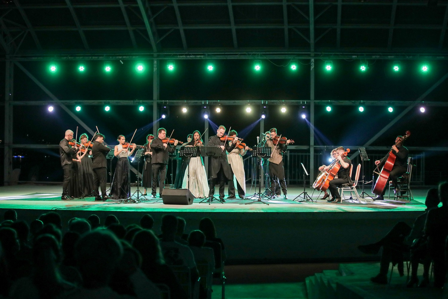 Serbian evening at Ohrid Summer Festival – topmost aesthetic enjoyment with the virtuoso Milenkovikj and chamber orchestra “Camerata Novi Sad”